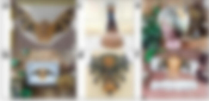 Six boxes containing different forms of blurred taxidermy involving the painted wooly bat, each labeled as (A, B, C, D, E, F). Image A contains an image of a flattened painted wooly bat facing forward with outstretched wings. Image B contains an image of a