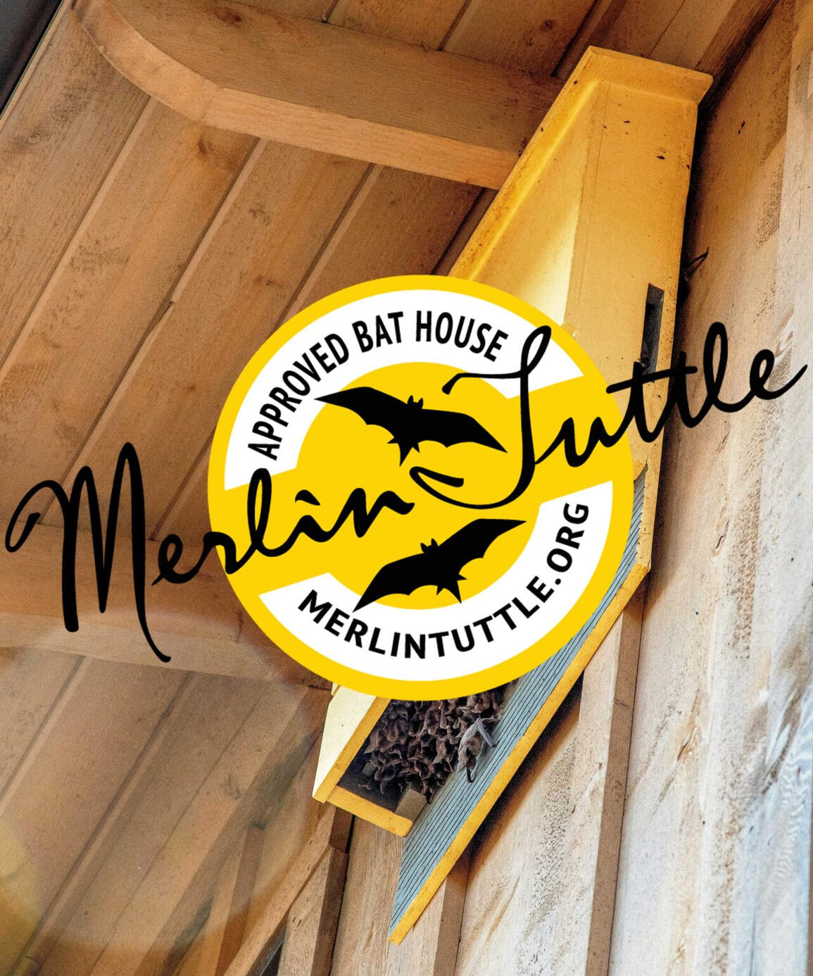 A wooden rectangular bat house built underneath a ceiling of wooden planks. A yellow circular seal of approval overlaps the bat box with Merlin Tuttle's signature diagonally centered. Two bat icons frame his signature. The name of the organization's websit